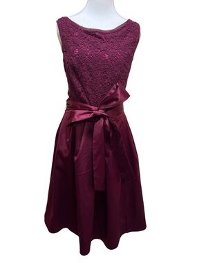 The Limited Lace Bodice Fit-and-Flare Dress in Deep Wine, NWT, Sz 10